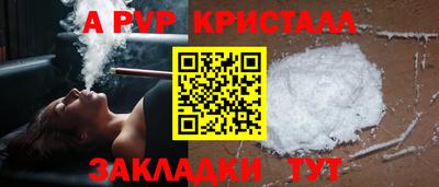 стаф Кингисепп