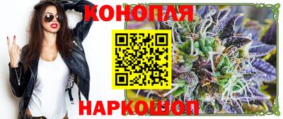 стаф Кингисепп