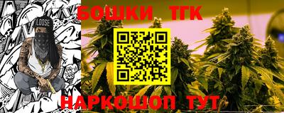 стаф Кингисепп