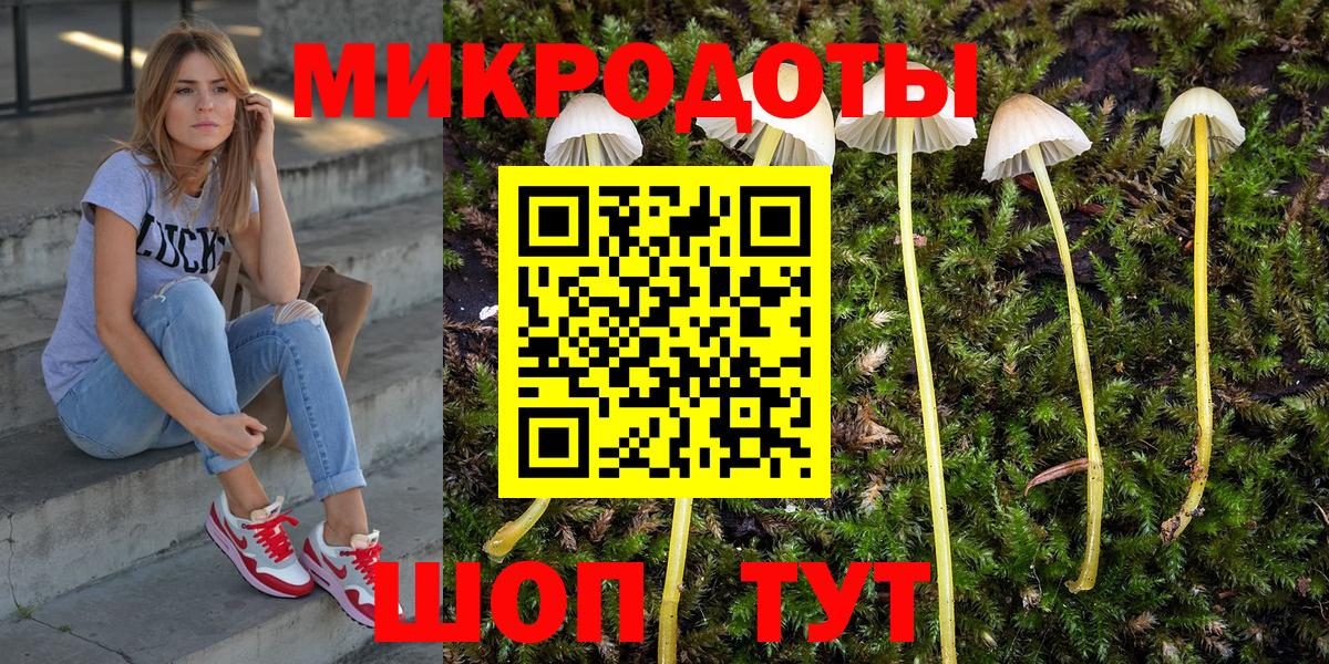 наркота  Псилоцибиновые грибы мухоморы  Вход с VPN  Щёкино  Псилоцибиновые грибы Cubensis 